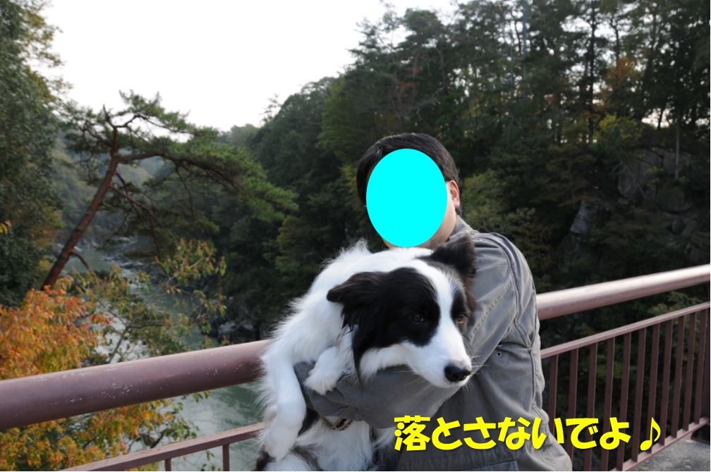 c0147241_2025944.jpg