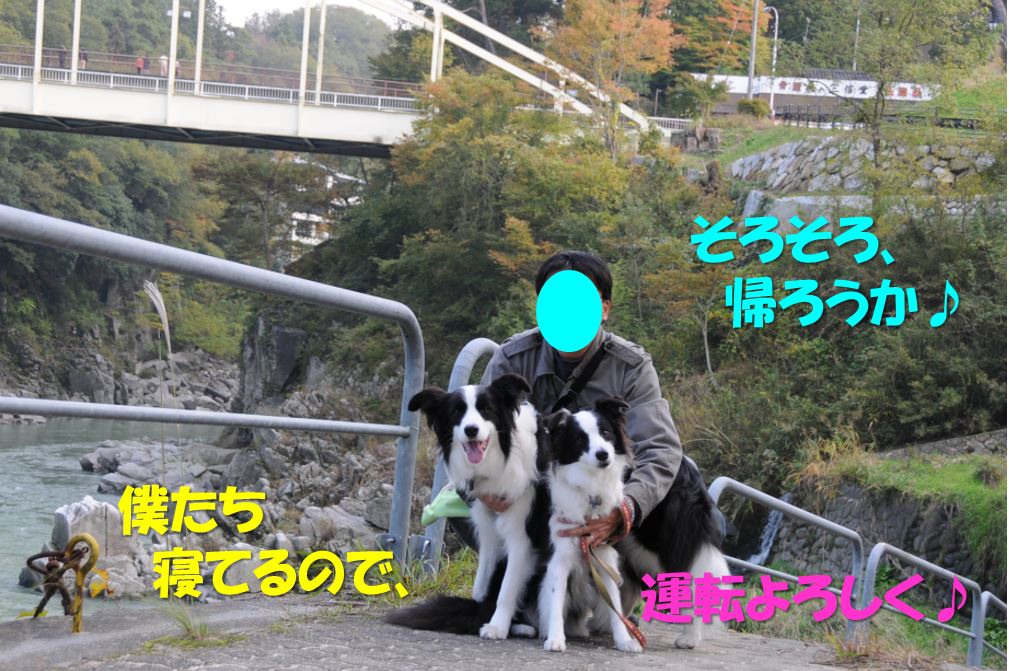 c0147241_2027638.jpg