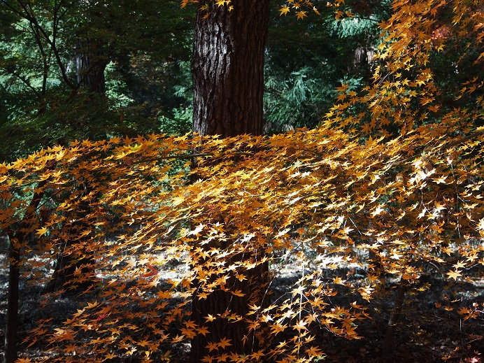 e0272042_16373654.jpg