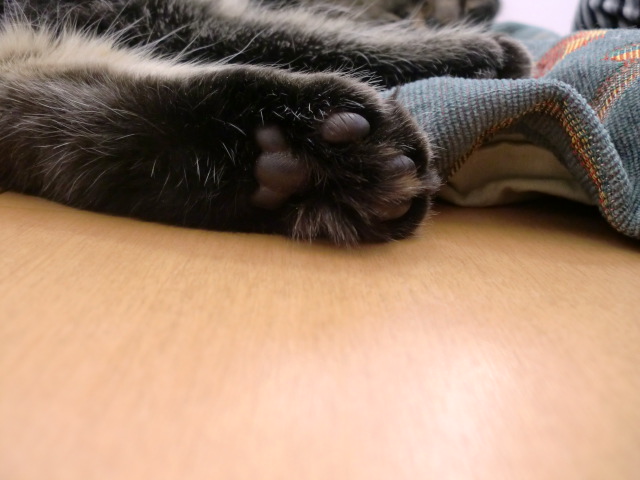 c0259945_15182141.jpg
