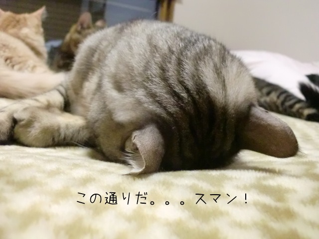 c0259945_1642050.jpg