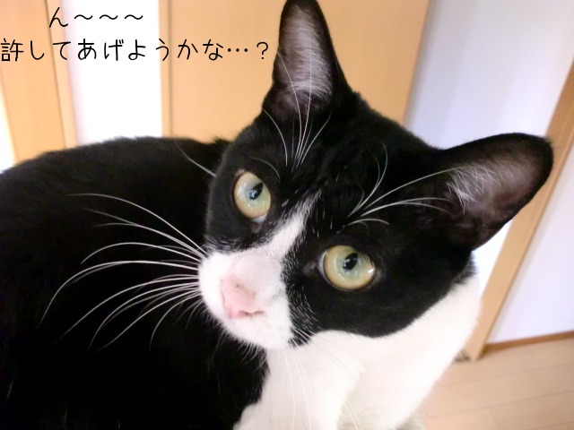 c0259945_1642591.jpg
