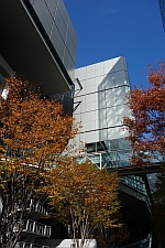 e0080345_16594941.jpg