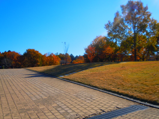 b0224951_1831104.jpg