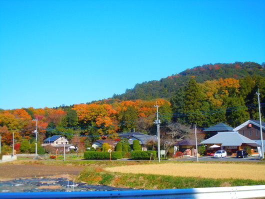 b0224951_18361475.jpg