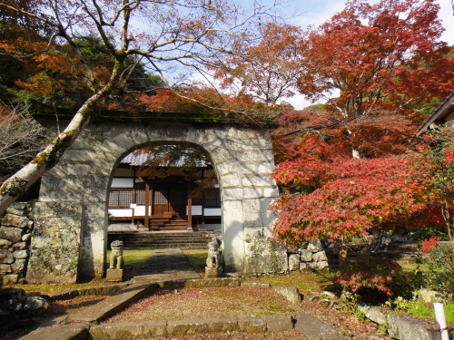 c0179351_19174144.jpg