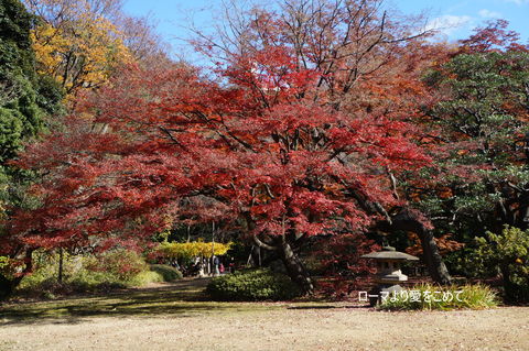 c0206352_20562273.jpg