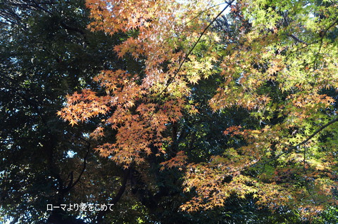 c0206352_20564399.jpg