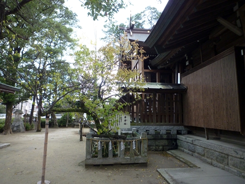 c0222861_21284992.jpg