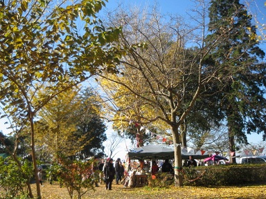 e0271461_16552938.jpg