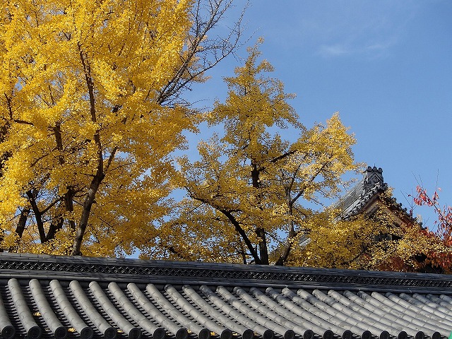 b0044663_23213987.jpg