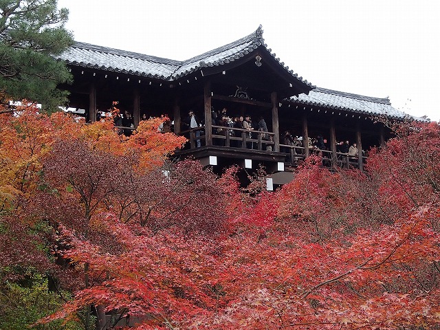 b0044663_23222759.jpg
