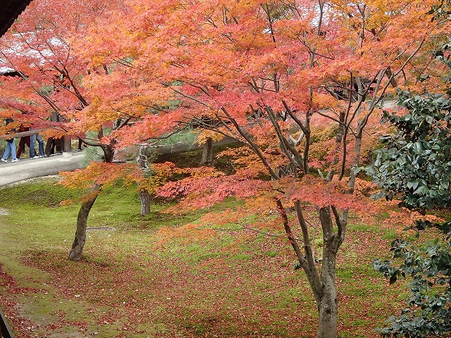 b0044663_23252263.jpg