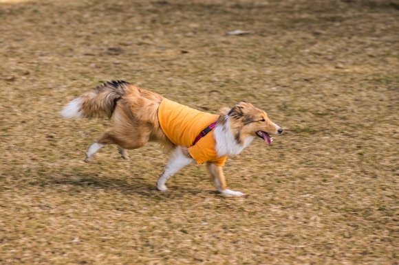 c0260264_14472760.jpg