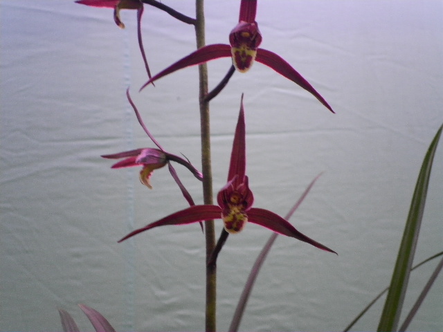 f0318967_22003030.jpg