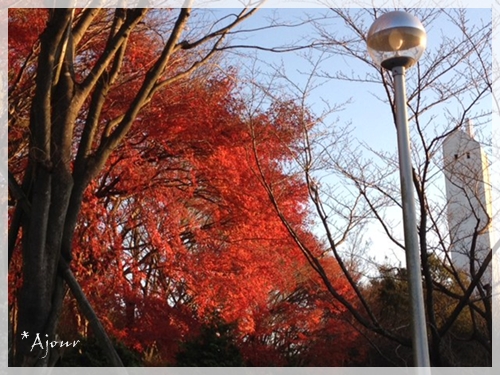 f0229872_12224578.jpg
