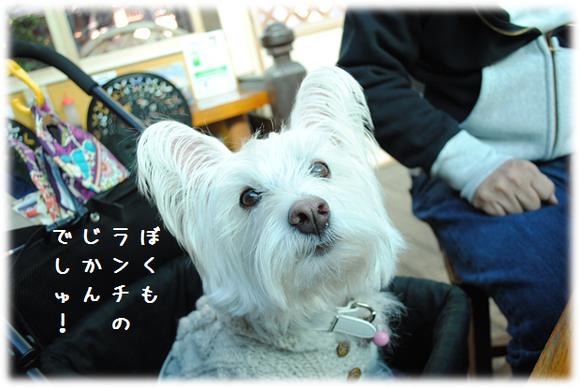 b0242873_1022101.png