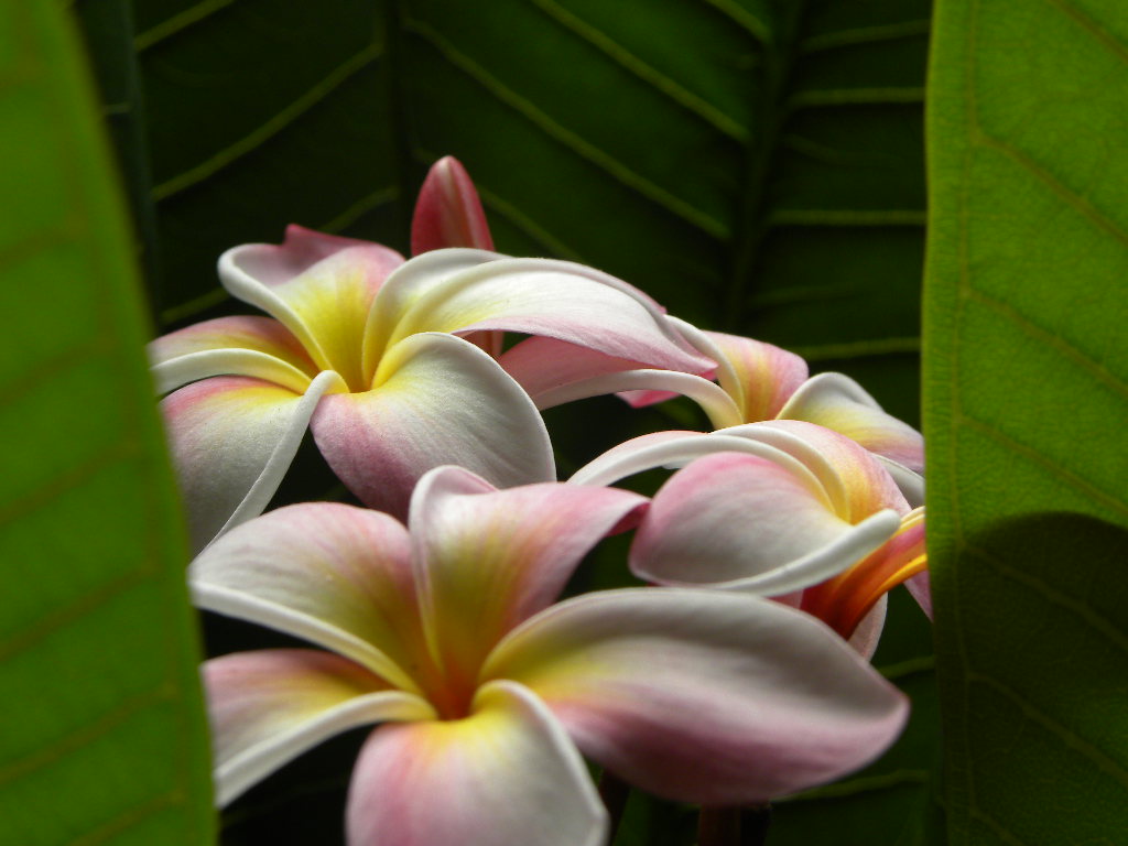 c0162773_13264442.jpg