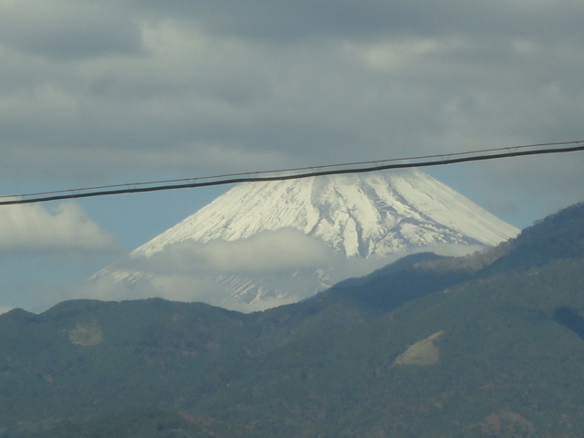 d0109373_1234240.jpg