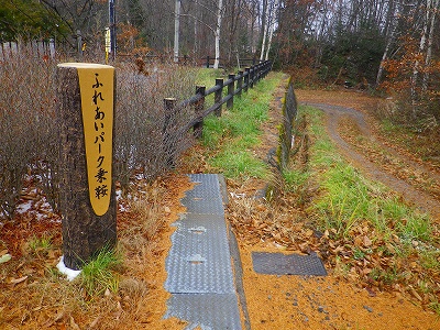 f0182173_22181344.jpg