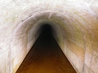 f0182173_22183218.jpg