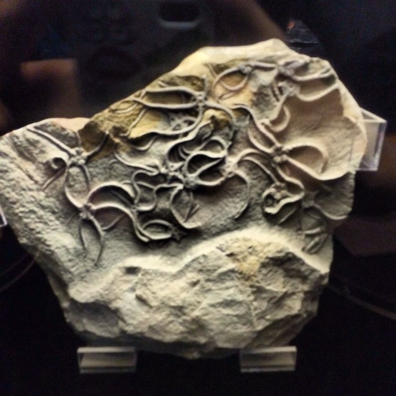 c0238377_20163793.jpg