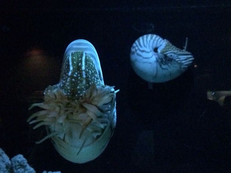 c0238377_20163985.jpg