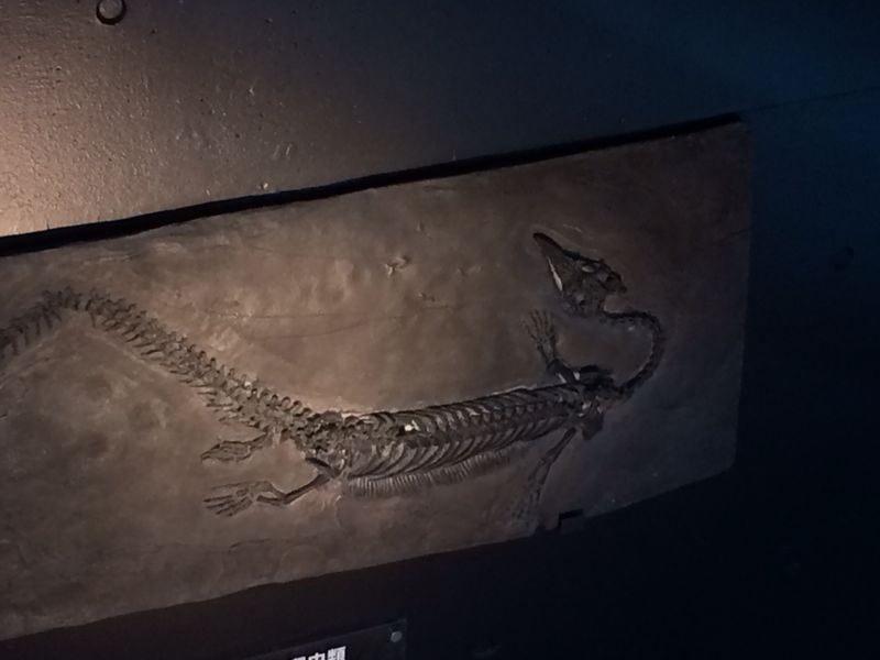 c0238377_20164278.jpg