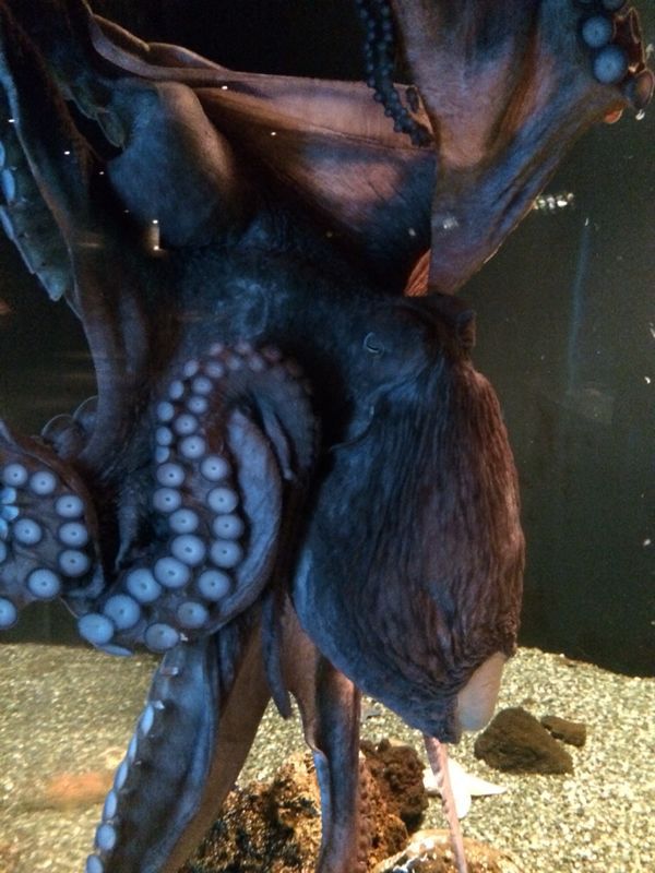 c0238377_20164833.jpg