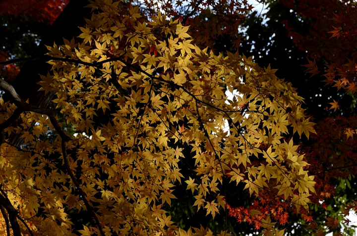 f0108478_20103137.jpg