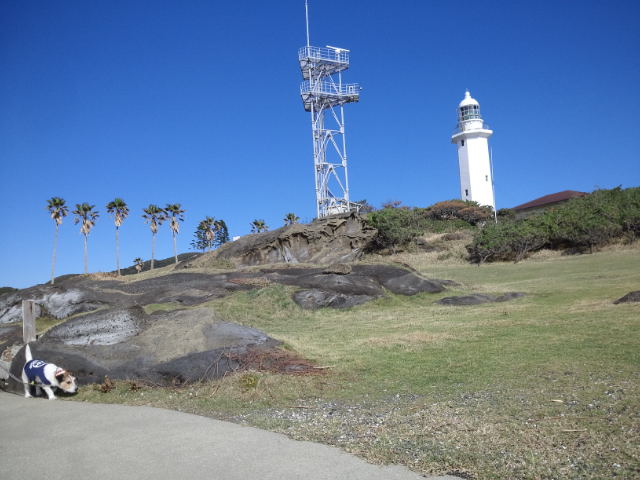 a0118079_13072903.jpg