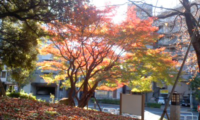 c0069380_1203378.jpg