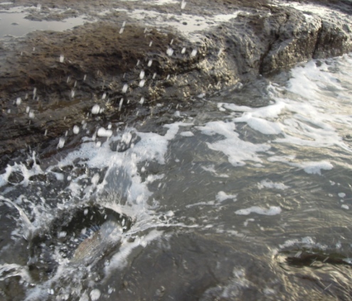 d0174683_19293490.jpg