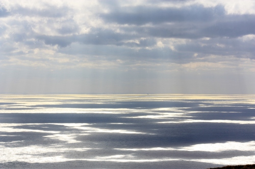 c0204385_2321666.jpg