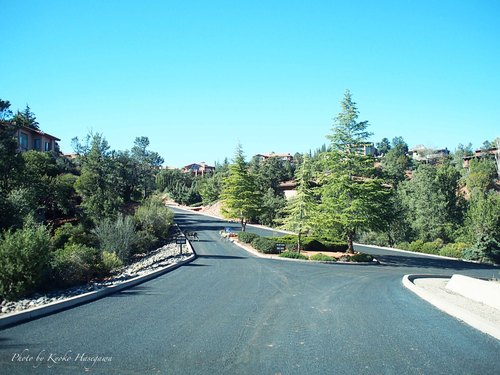 e0148185_12454021.jpg