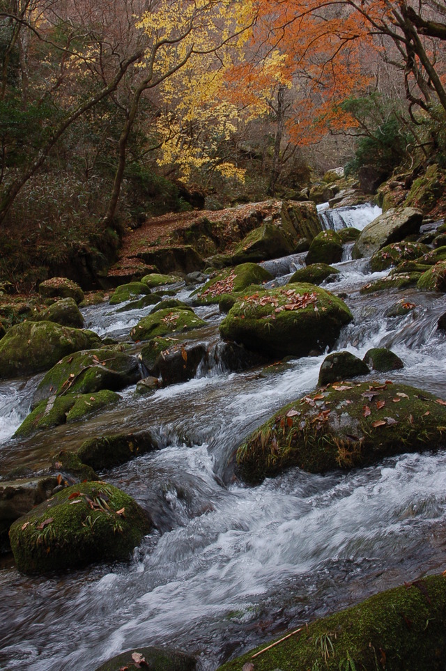 b0203588_18574528.jpg