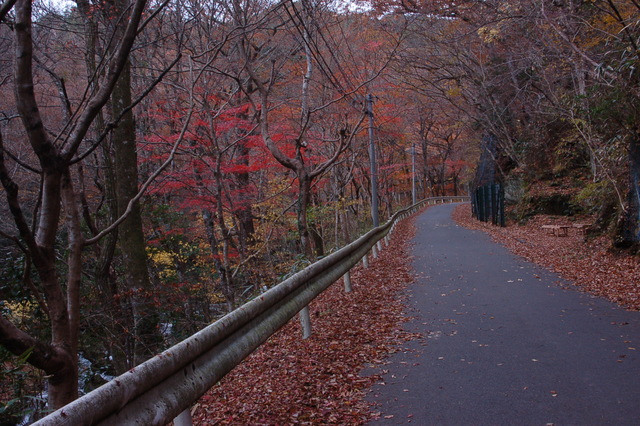 b0203588_1859233.jpg