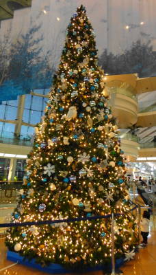 c0122791_13374437.jpg