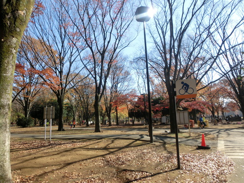 a0319693_16525079.jpg