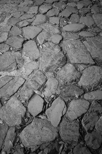 b0119493_13153078.jpg