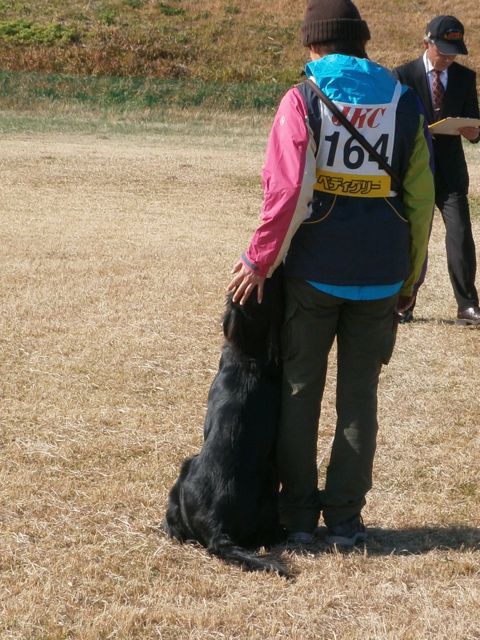 f0130894_2111994.jpg