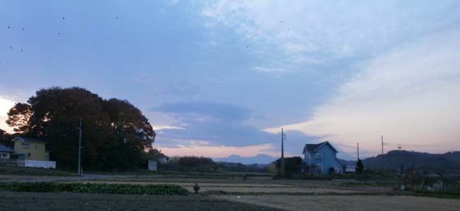 d0000995_0375492.jpg