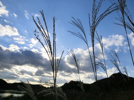a0252596_201338.jpg