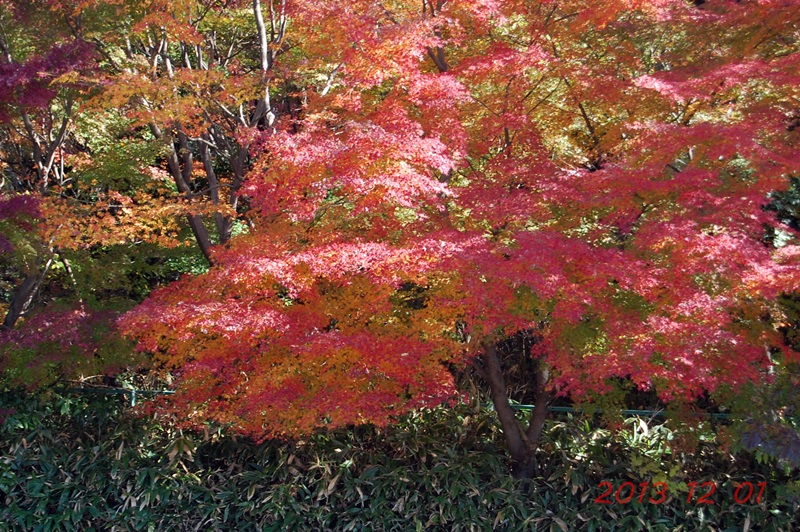 a0155999_17300943.jpg