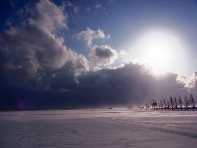c0074000_22391788.jpg