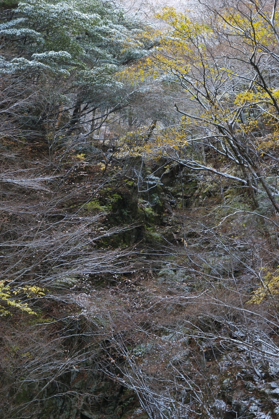 f0221510_19154868.jpg