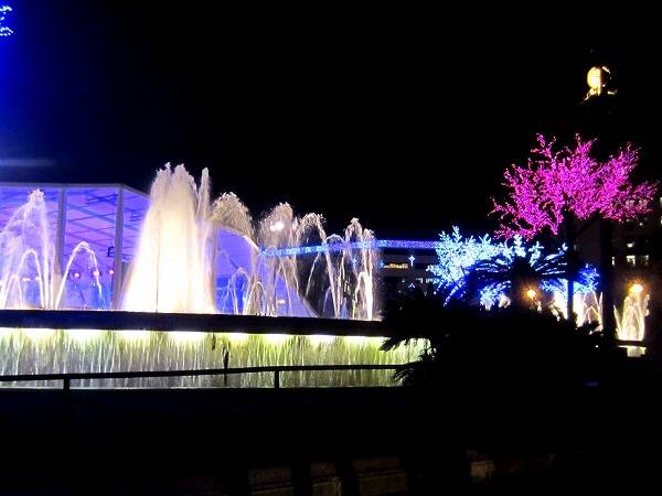 b0064411_6275349.jpg