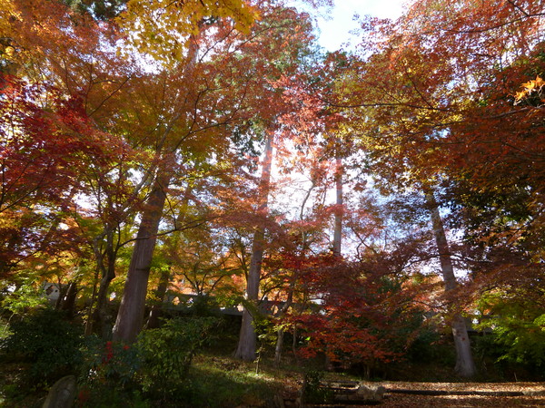 e0233614_17495332.jpg
