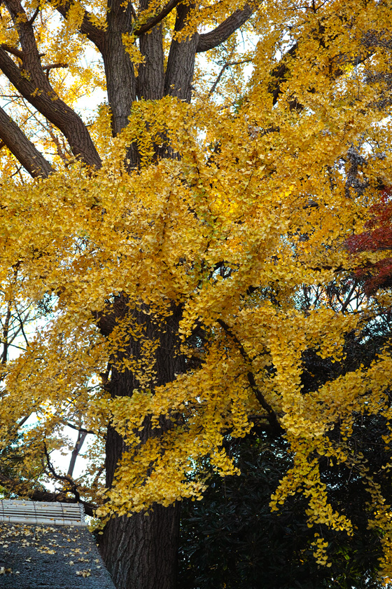 c0223825_2144373.jpg