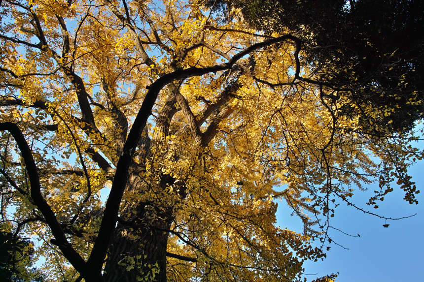 c0223825_21743100.jpg